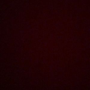 Meet your Posher, Daisy